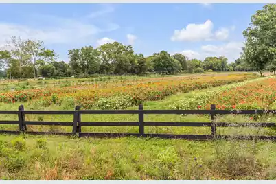8035 Jack Island Drive, Johns Island, SC 29455 - Photo 58