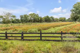 8035 Jack Is Dr, Johns Island, SC 29455 - Photo 58