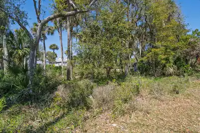 307 Jungle Road, Edisto Beach, SC 29438 - Photo 8