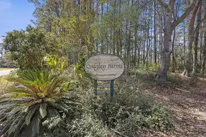 4C Sebago Road, Meggett, SC 29449 - Photo 10