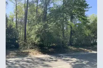 0 Ash Hill Drive, Eutawville, SC 29048 - Photo 1