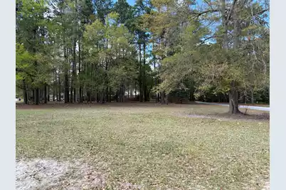 0 Otis Rd. & Longleaf Drive, Walterboro, SC 29488 - Photo 2