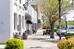 4929 Ashby Ave, North Charleston, SC 29405 - Photo 46