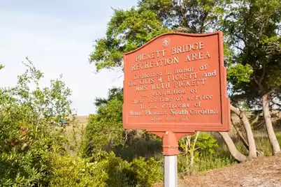 1409 Barbara Street, Mount Pleasant, SC 29464 - Photo 22