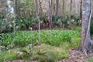 2160 Nicholas David Path, Johns Island, SC 29455 - Photo 68