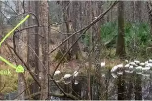 2160 Nicholas David Path, Johns Island, SC 29455 - Photo 8