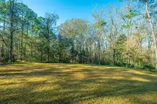 2160 Nicholas David Path, Johns Island, SC 29455 - Photo 64