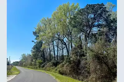 0 Locust Avenue S, Denmark, SC 29042 - Photo 4