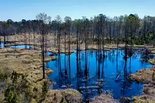 0 Locust Ave S, Denmark, SC 29042 - Photo 1