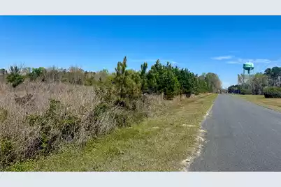 0 Locust Avenue S, Denmark, SC 29042 - Photo 10