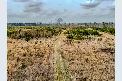 0 Locust Avenue S, Denmark, SC 29042 - Photo 2