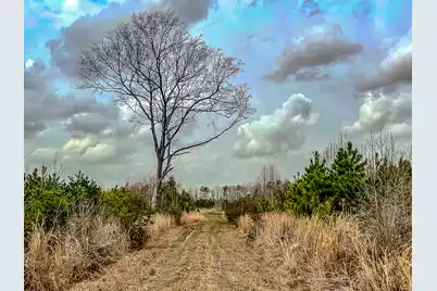 0 Locust Avenue S, Denmark, SC 29042 - Photo 4