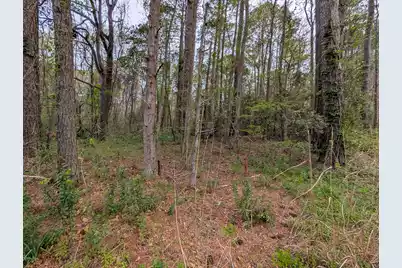 10218 Old Georgetown Road, McClellanville, SC 29458 - Photo 6