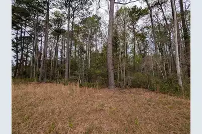 10218 Old Georgetown Road, McClellanville, SC 29458 - Photo 4