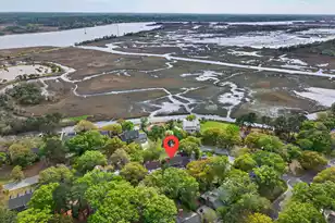 2436 Pristine View Rd, Charleston, SC 29414 - Photo 56