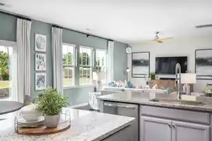 539 Red Monarch Dr, Moncks Corner, SC 29461 - Photo 8