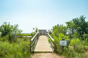 1630 Prince Edward St, Mount Pleasant, SC 29466 - Photo 38