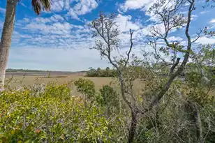 202 Jungle Shores Dr, Edisto Island, SC 29438 - Photo 30
