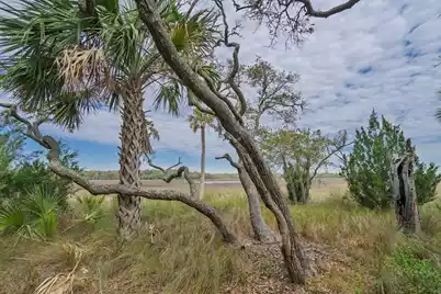 202 Jungle Shores Drive, Edisto Island, SC 29438 - Photo 40