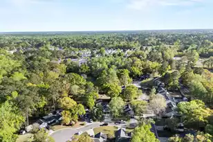102 Tea Olive Ct, Summerville, SC 29485 - Photo 46