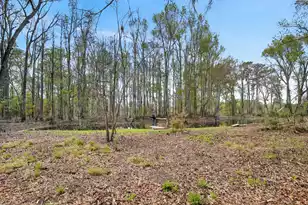 3643 Char-Augusta Rd, Bamberg, SC 29003 - Photo 48