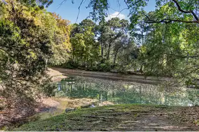 486 Planters Trace Drive, Charleston, SC 29412 - Photo 48