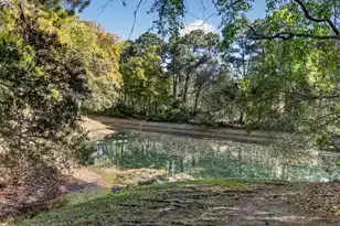 486 Planters Trace Dr, Charleston, SC 29412 - Photo 48