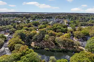 486 Planters Trace Dr, Charleston, SC 29412 - Photo 46