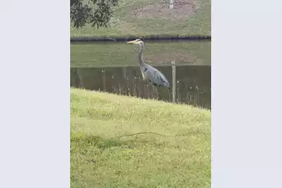 2910 Gantt Drive, Johns Island, SC 29455 - Photo 14