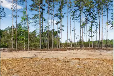 2652 Burlington Road, Walterboro, SC 29488 - Photo 38
