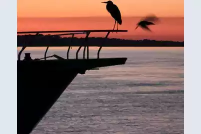 67 10th Street W #E-3, Folly Beach, SC 29439 - Photo 6