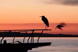 67 10th Street W, Folly Beach, SC 29439 - Photo 6