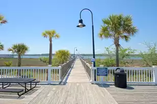 1892 Palmetto Isle Dr, Mount Pleasant, SC 29466 - Photo 64