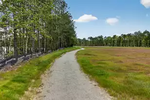 153 Village Ponds Dr, Summerville, SC 29483 - Photo 60