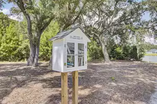 3509 Great Egret Dr, Johns Island, SC 29455 - Photo 66