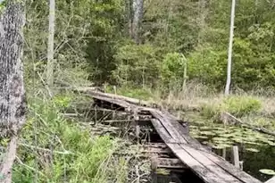 263 Keegan Ct, North, SC 29112 - Photo 20