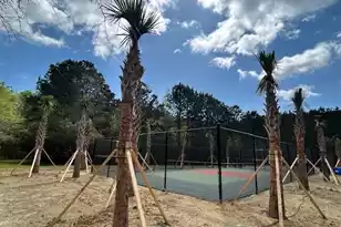 2040 Promenade Ct, Mount Pleasant, SC 29466 - Photo 48