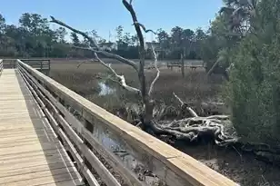 2040 Promenade Ct, Mount Pleasant, SC 29466 - Photo 40