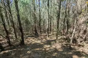 132 Oak Ests Wy, Ridgeville, SC 29472 - Photo 20