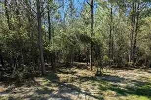 132 Oak Ests Wy, Ridgeville, SC 29472 - Photo 18