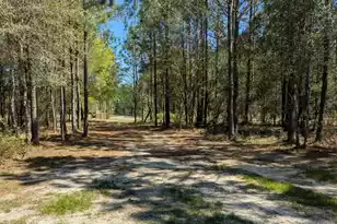 132 Oak Ests Wy, Ridgeville, SC 29472 - Photo 4