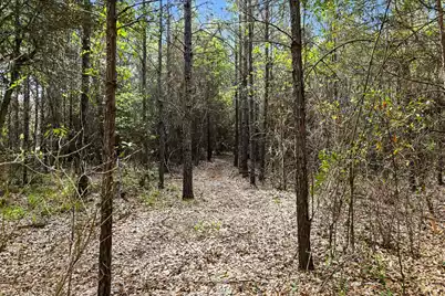 132 Oak Estates Way, Ridgeville, SC 29472 - Photo 22