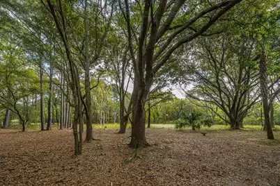 8869 Marsh Aire Lane, Edisto Island, SC 29438 - Photo 38