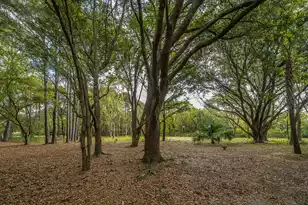 8869 Marsh Aire Ln, Edisto Island, SC 29438 - Photo 38