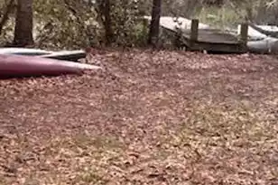 1535 Kemper Ave, Charleston, SC 29412 - Photo 18