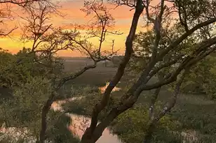 2020 Long Bend, Seabrook Island, SC 29455 - Photo 2