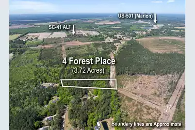 4 Forest Place, Marion, SC 29571 - Photo 2