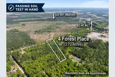 4 Forest Place, Marion, SC 29571 - Photo 1