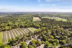 1130 Silent Harbor Ct, Mount Pleasant, SC 29464 - Photo 38