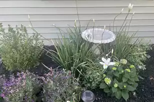 492 Rowley Ln, Summerville, SC 29486 - Photo 58